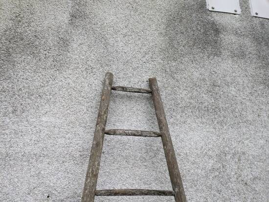 Painter's ladder, towel rack