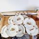 Set of 8 flat vegetable plates