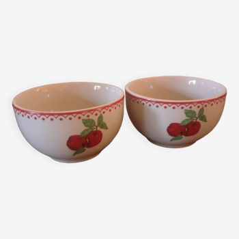 Two cutes bowls with apples