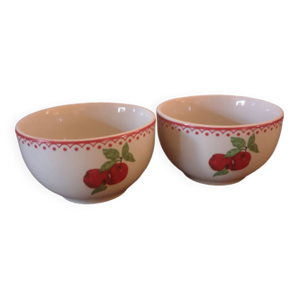 Two cutes bowls with apples