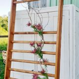 Espalier
