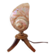Shell lamp 50s