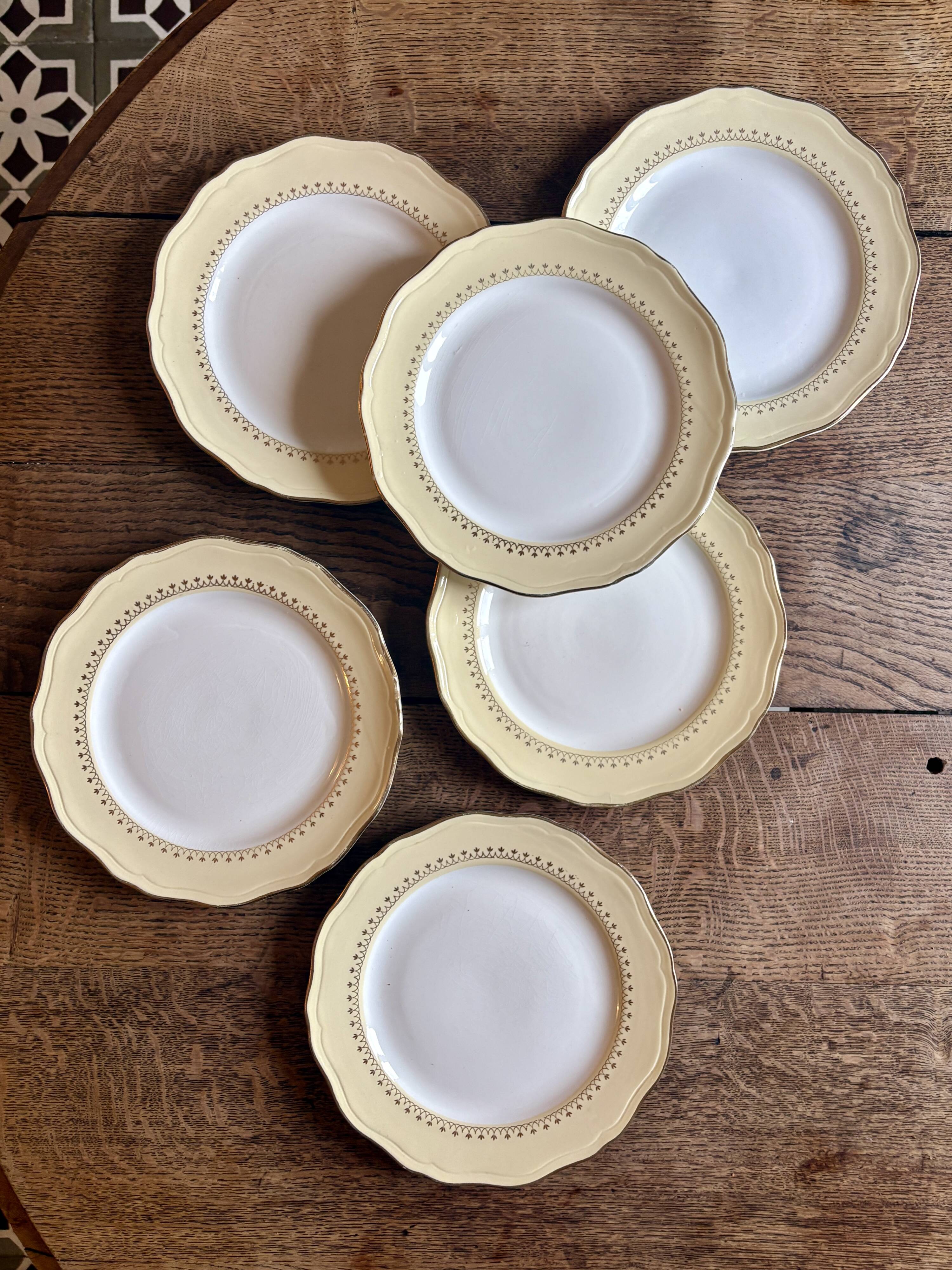 Set of 6 vintage white dinner plates with yellow and gold trim.