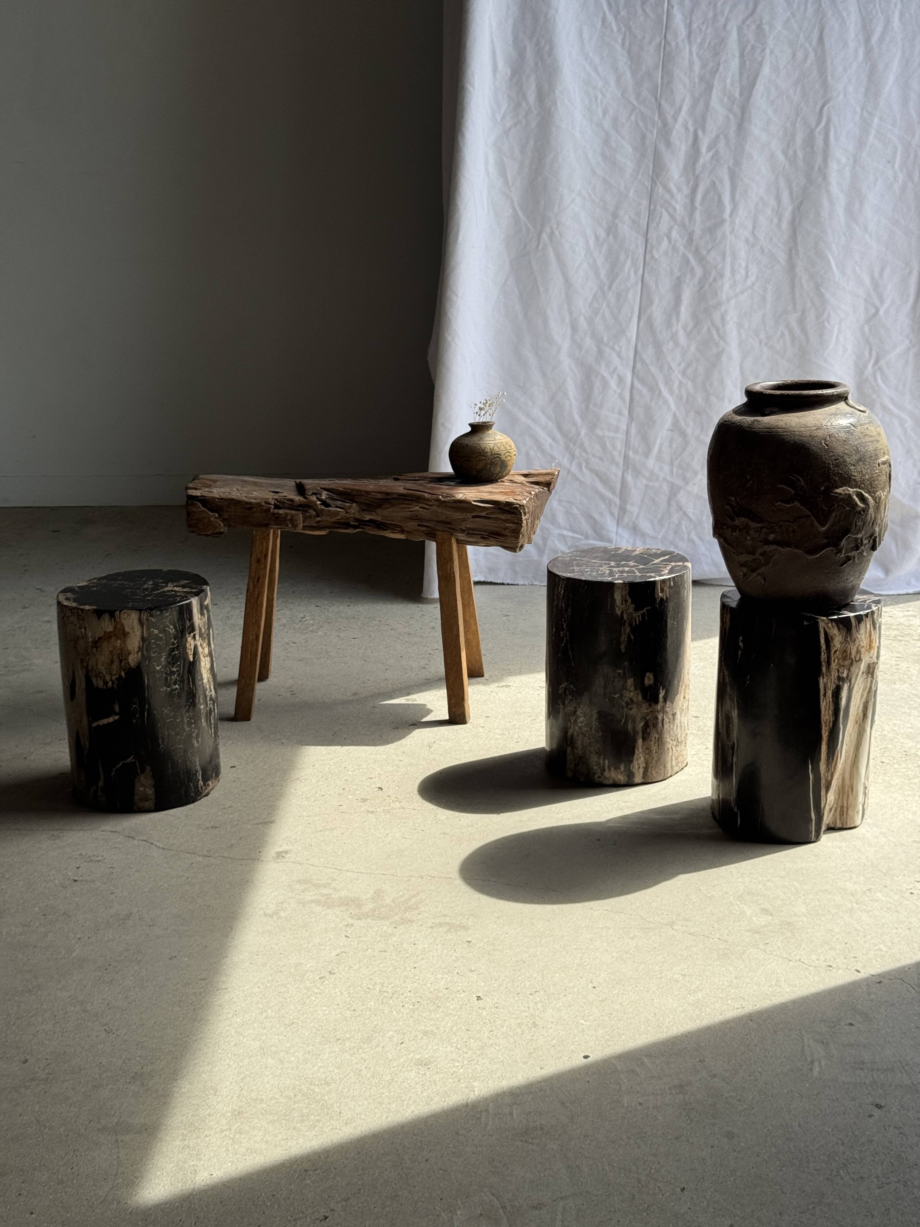 Black petrified wood side table with beige side H35 D24 - 3352