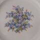Set of 6 dessert plates Bavaria Schumann Arzberg