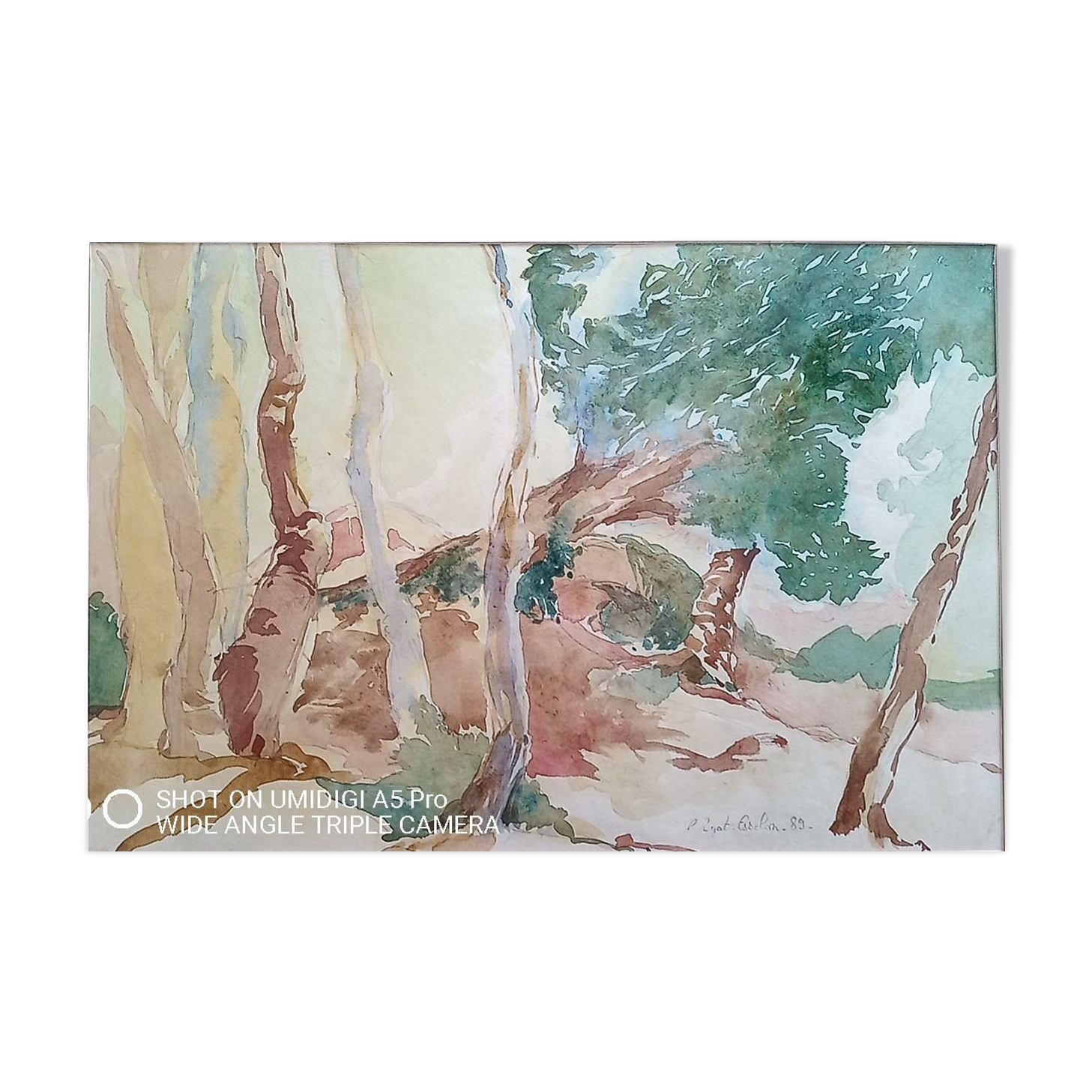 Pascale Rigat-Esselin (born in 1952) - watercolor - 32 x 48 cm - signed, dated 89