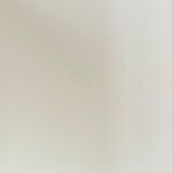 Photograph black and white silver print circa 1970 riding competition