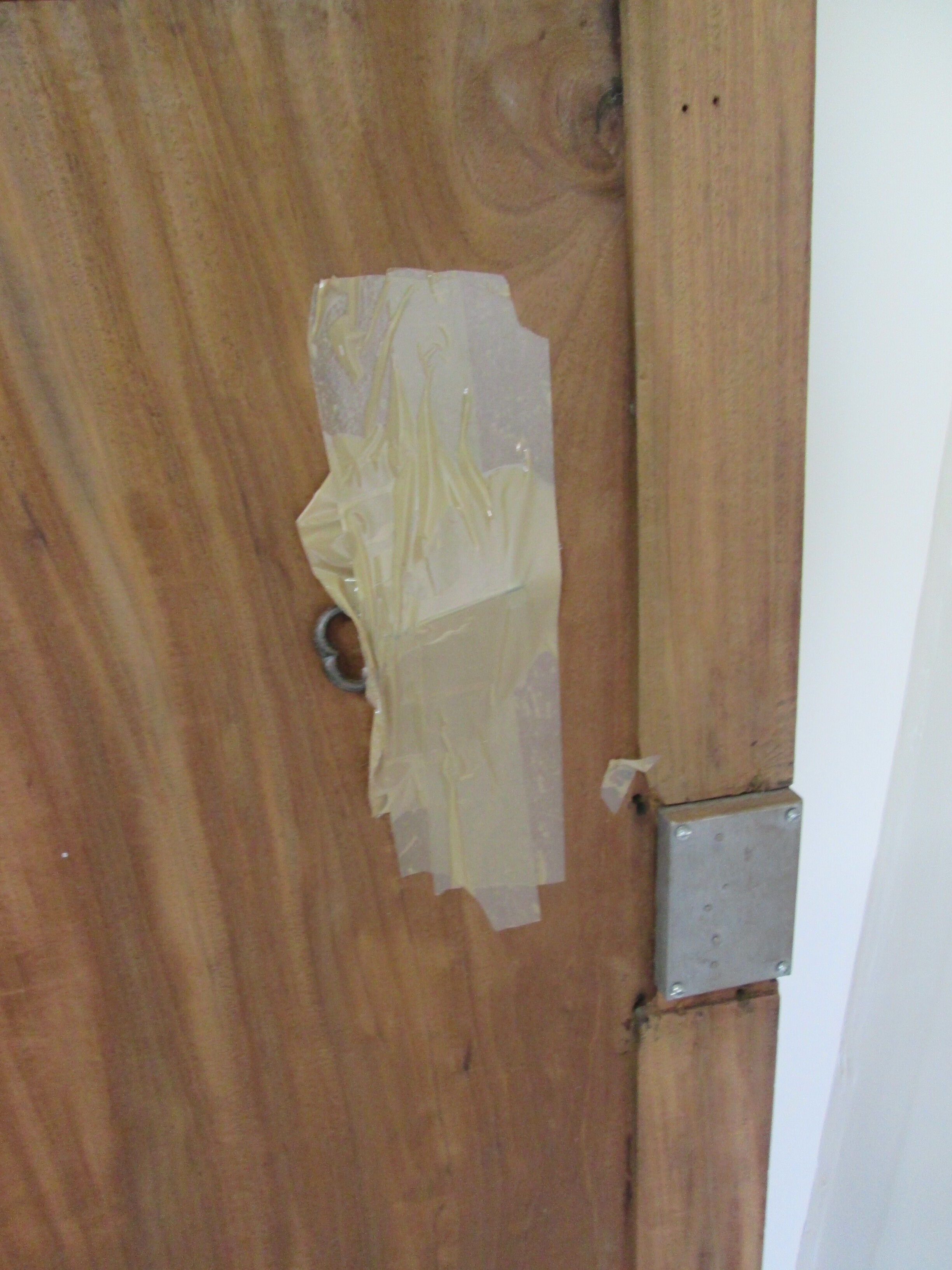 Pair of mahogany doors