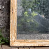 19th century mercury mirror patinated trumeau