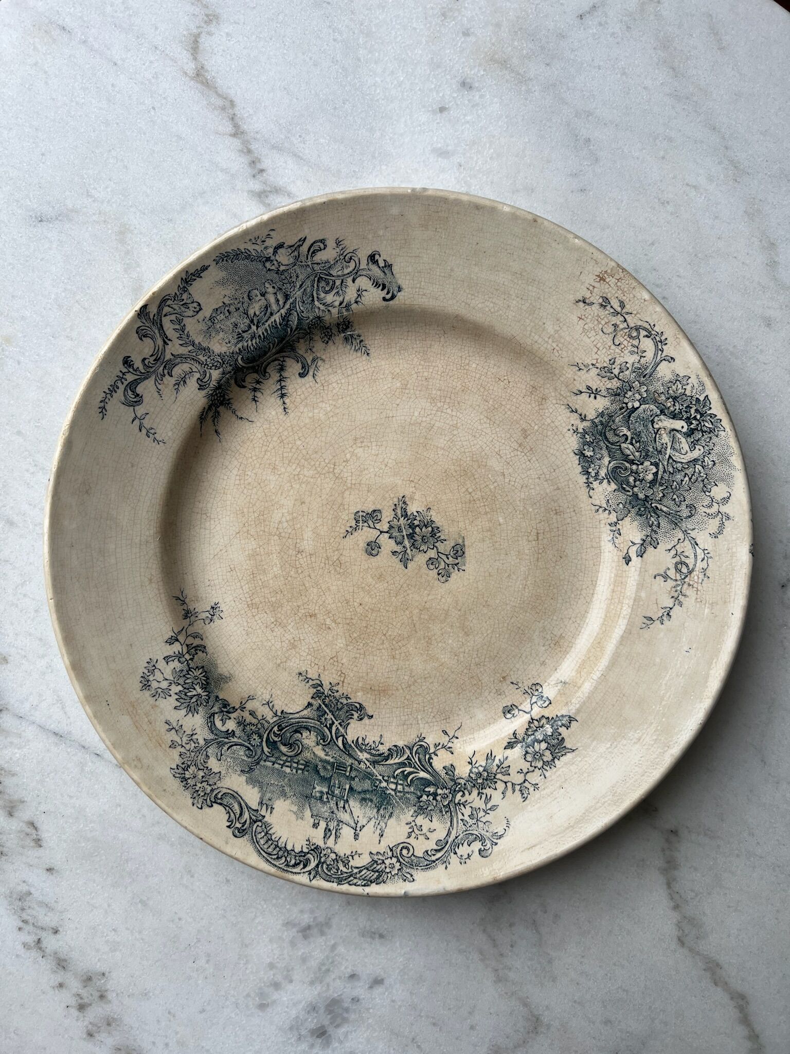 Dish In Ter de Fer - Grigny