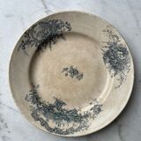 Dish In Ter de Fer - Grigny