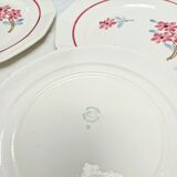 6 flat plates St-Amand Ceranord