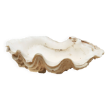 Holy water stoup shell emptier, 1970s
