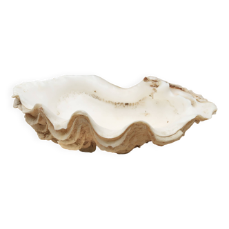 Holy water stoup shell emptier, 1970s