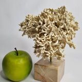 Antique White Coral on Marble Base, Height 20 cm