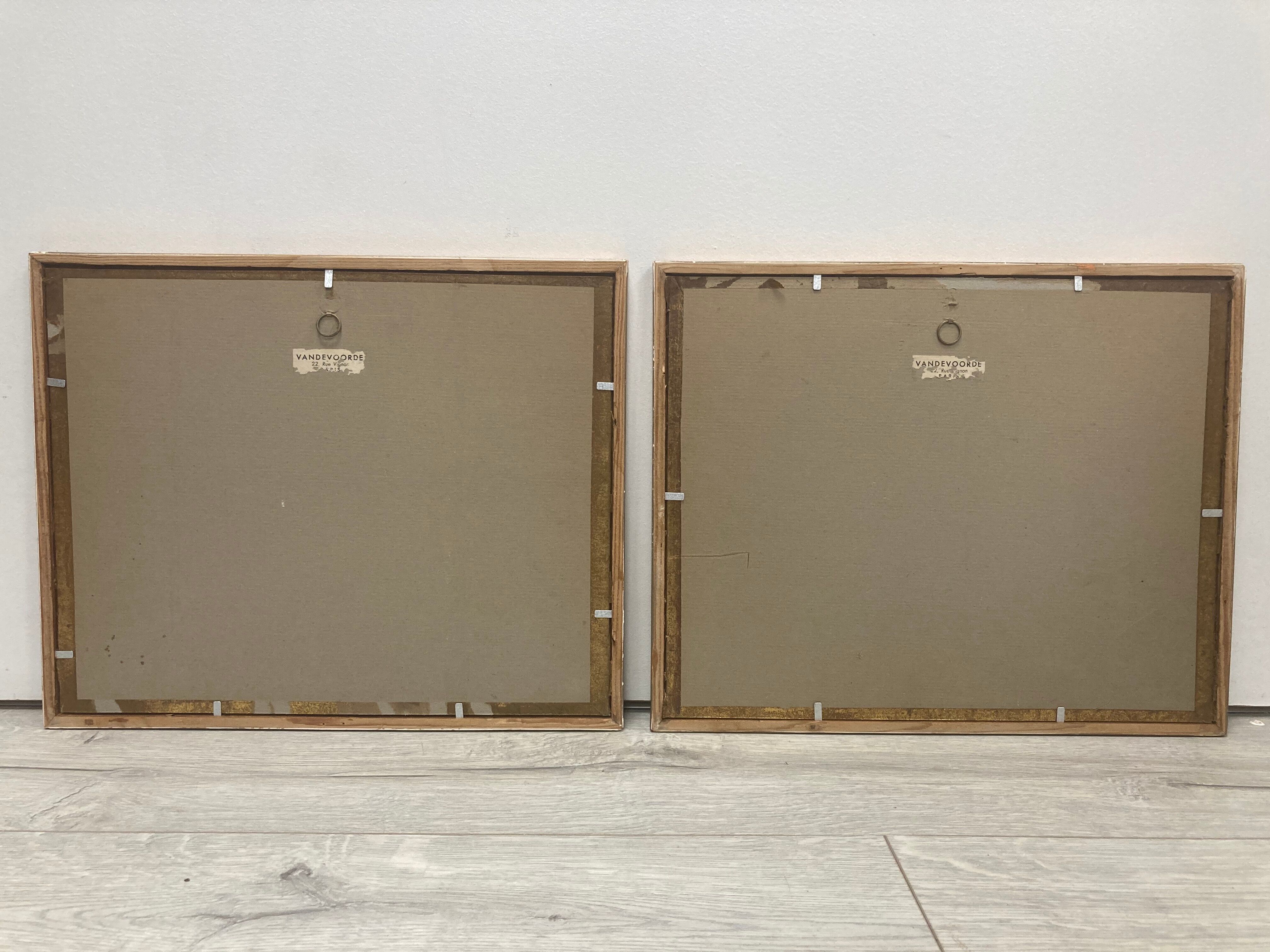 Pair of framed botanical boards