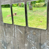 Barber mirror