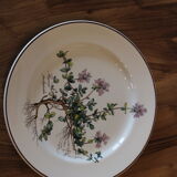 6 plates Villeroy and Boch Botanica