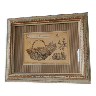 Olive leaf basket painting
