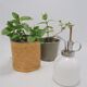 Plant vaporizer