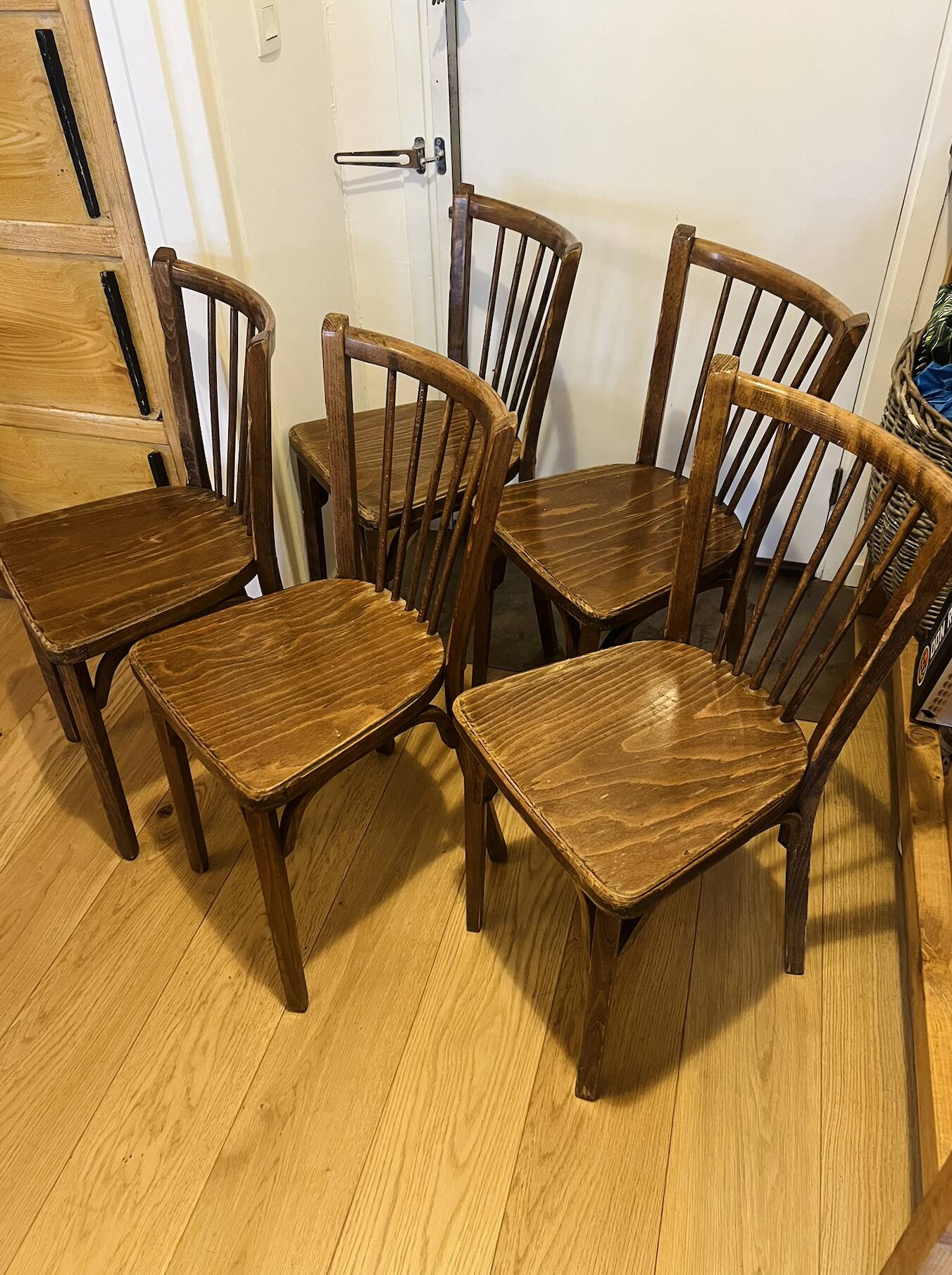 (Lot) 5 Baumann chairs model 83