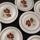 16 assiettes vintages