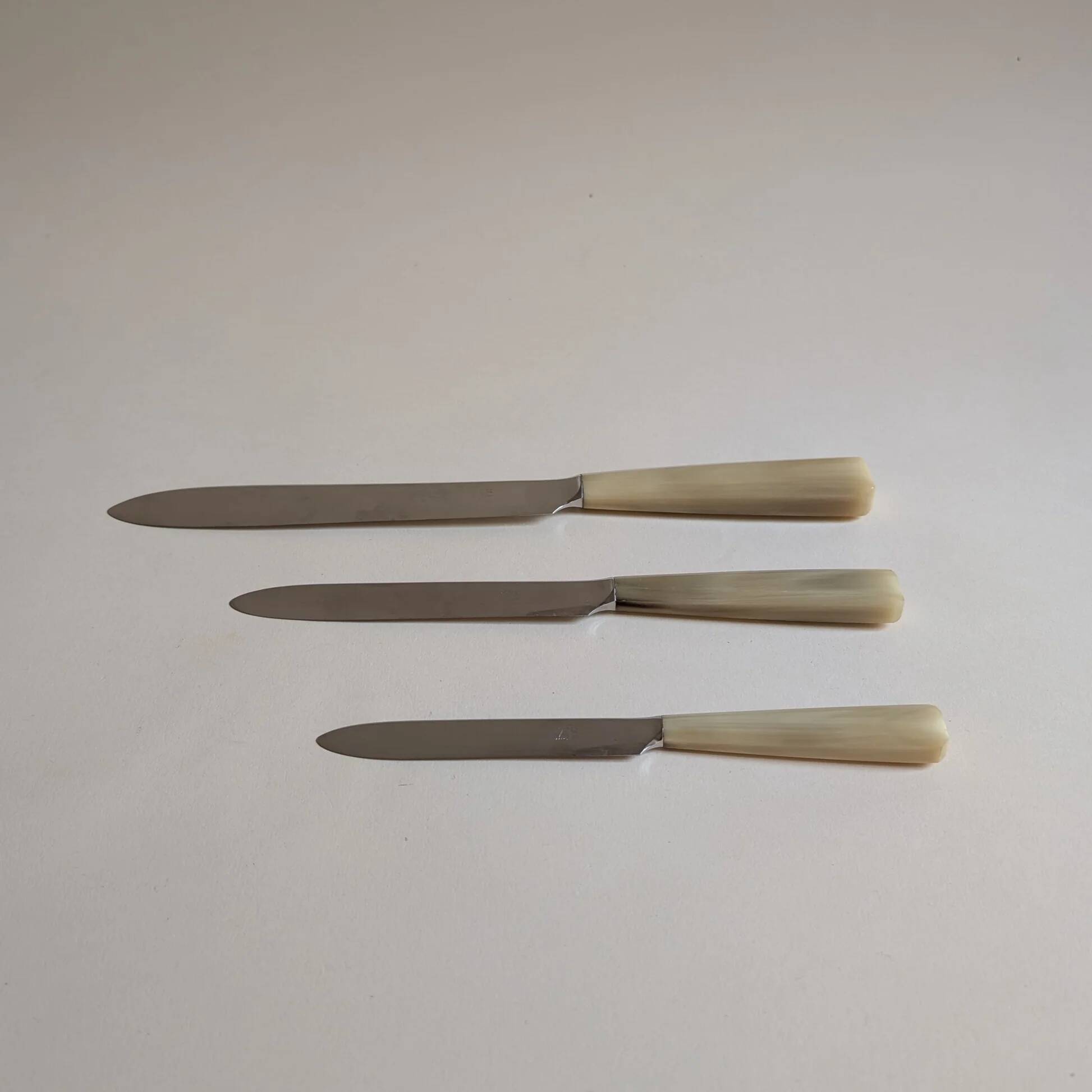 Set of 25 horn and stainless steel knives