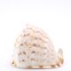 Coquillage beige et blanc spirale, années 60