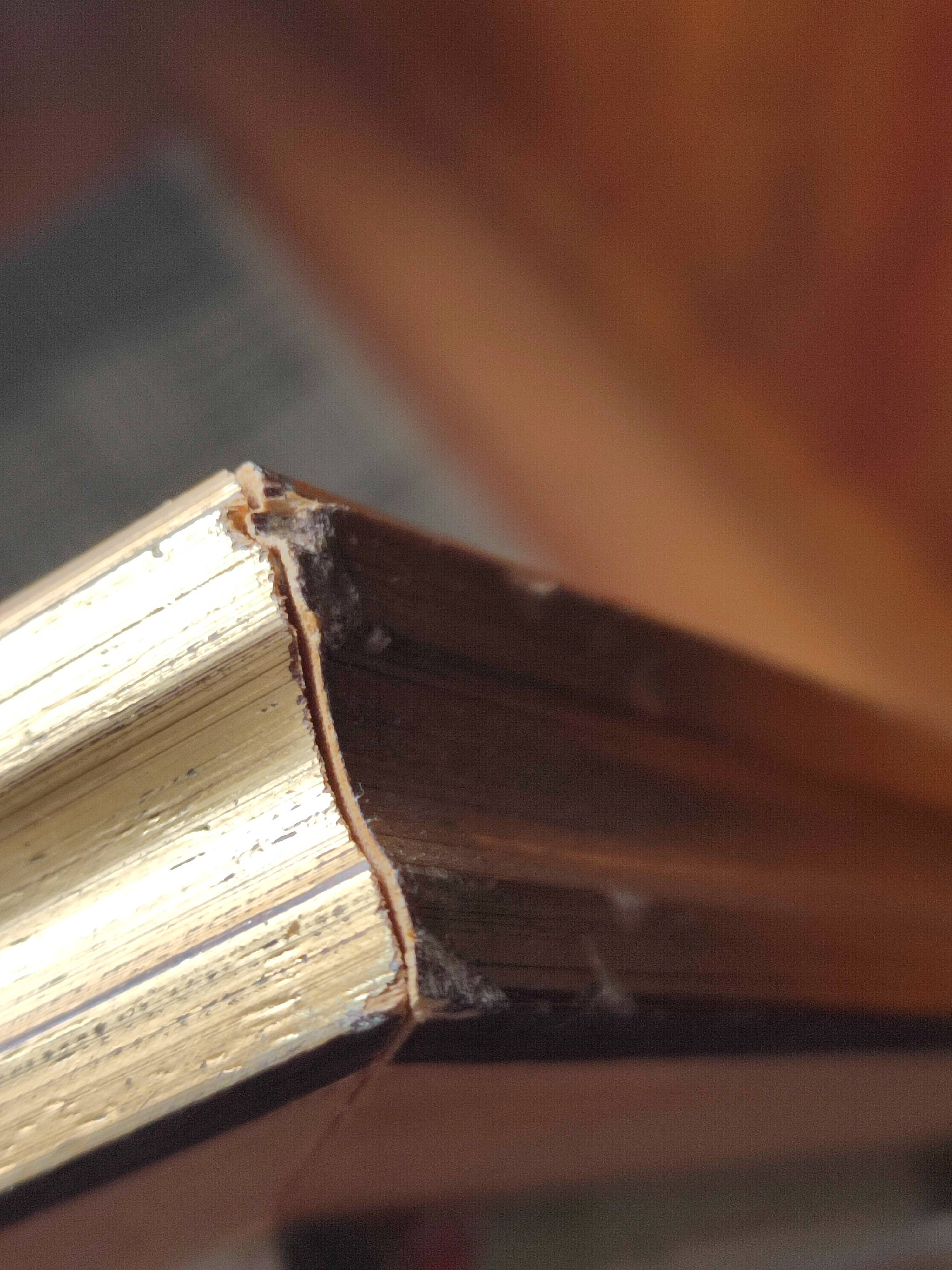 Oil painting on canvas signed Rossini