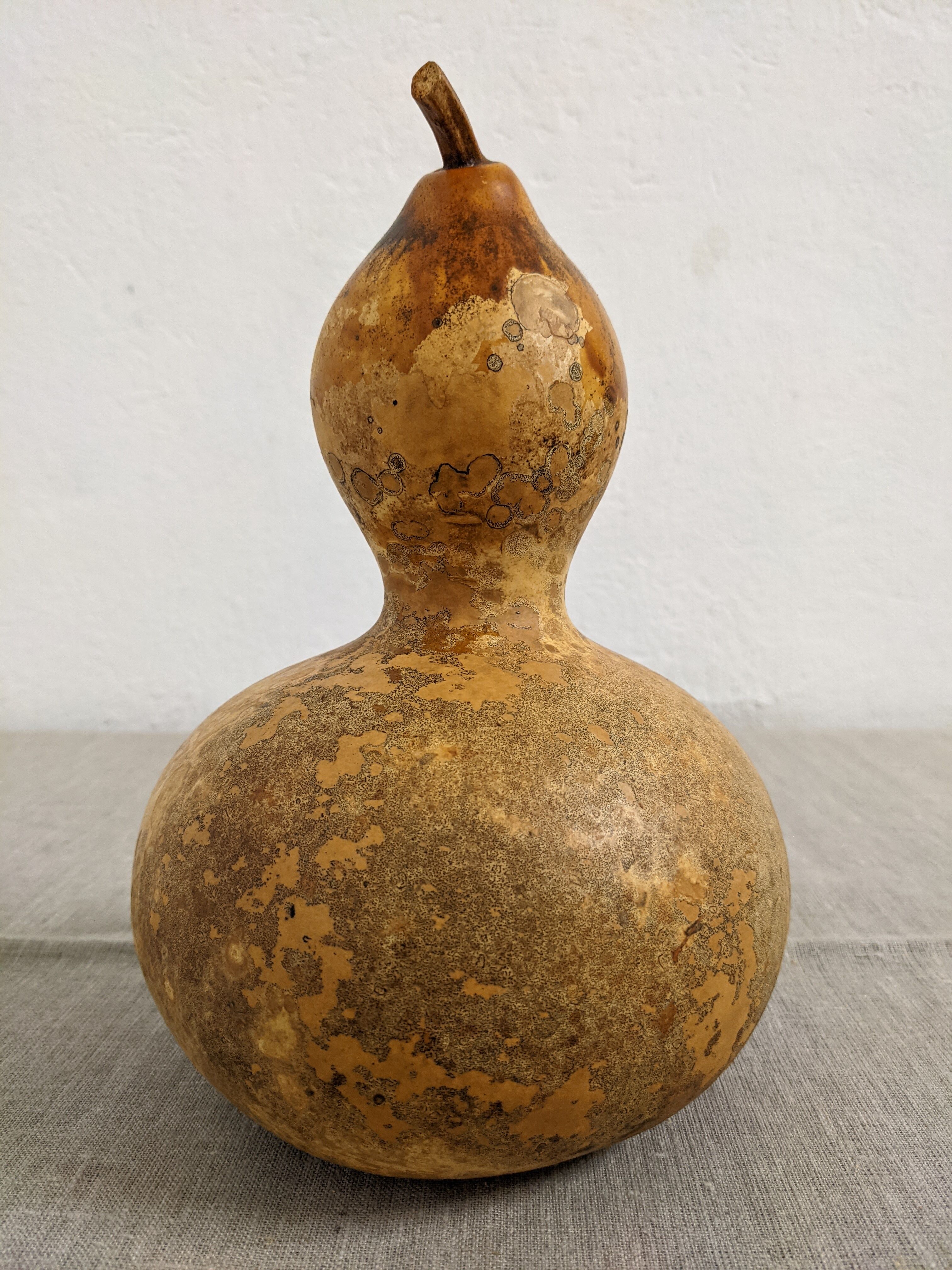 Set of 3 decorative dried coloquintes from the 70s