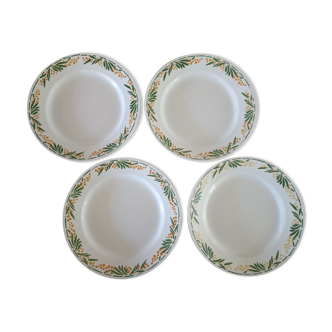 4 plates iron earth Mimosa Creil-Montereau