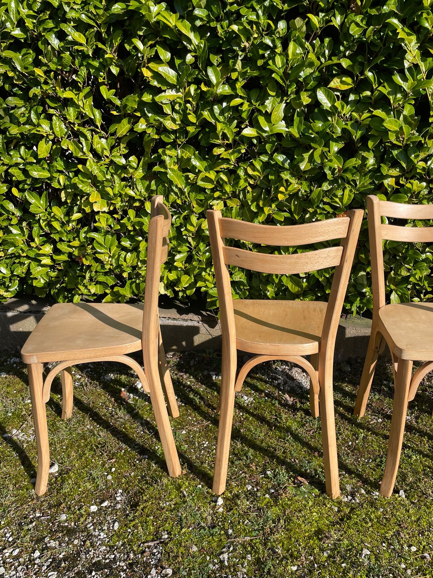 Set of 4 bistro chairs Baumann matt colorless varnish