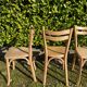 Set of 4 bistro chairs Baumann matt colorless varnish