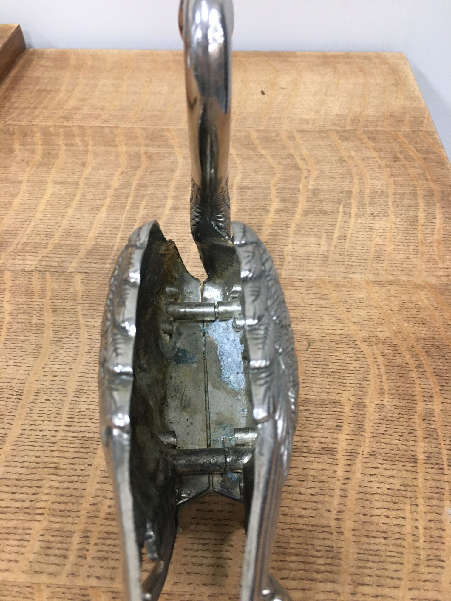 Swan wears silver metal letters