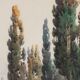 Old painting signed Angelos Giallinas, watercolour on paper from the 1800s.