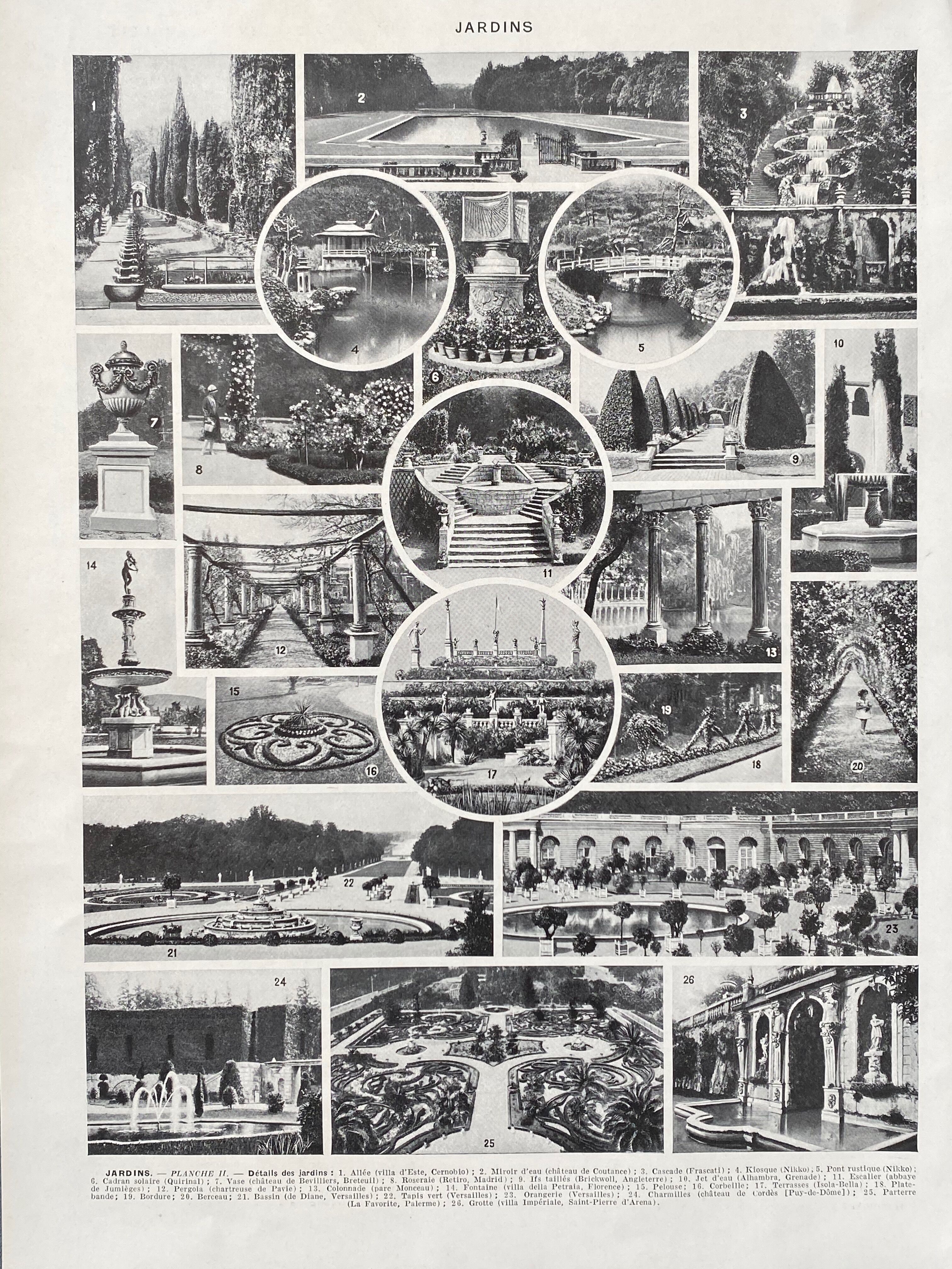 Illustration Millot "ornamental tree gardens"