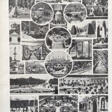 Illustration Millot "ornamental tree gardens"