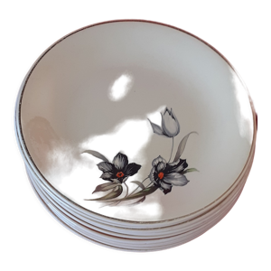 10 assiettes plates ceranord st