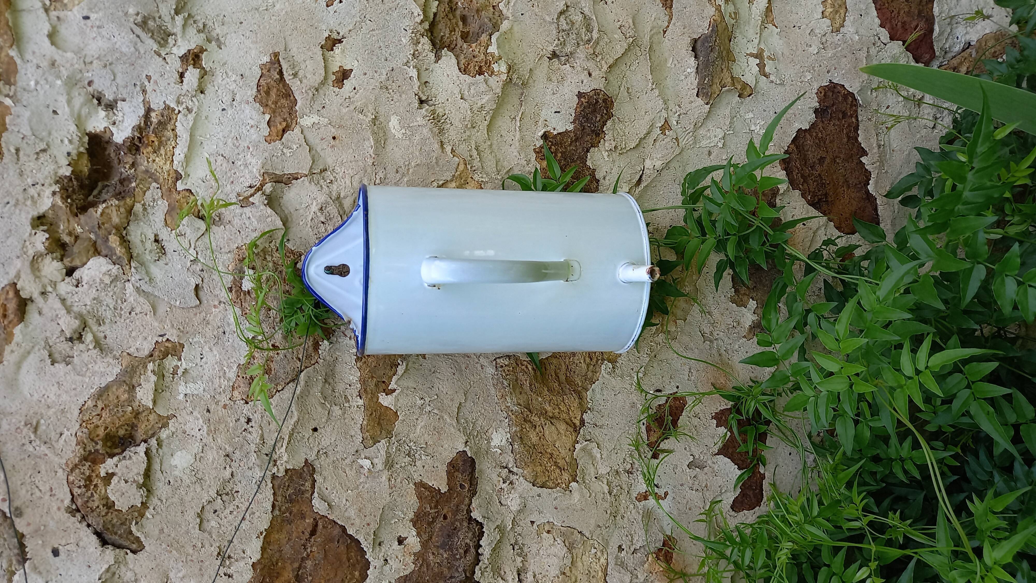 Old enema pot in enamelled sheet metal - Wall fountain Broc Graduated pot white enamel 50s