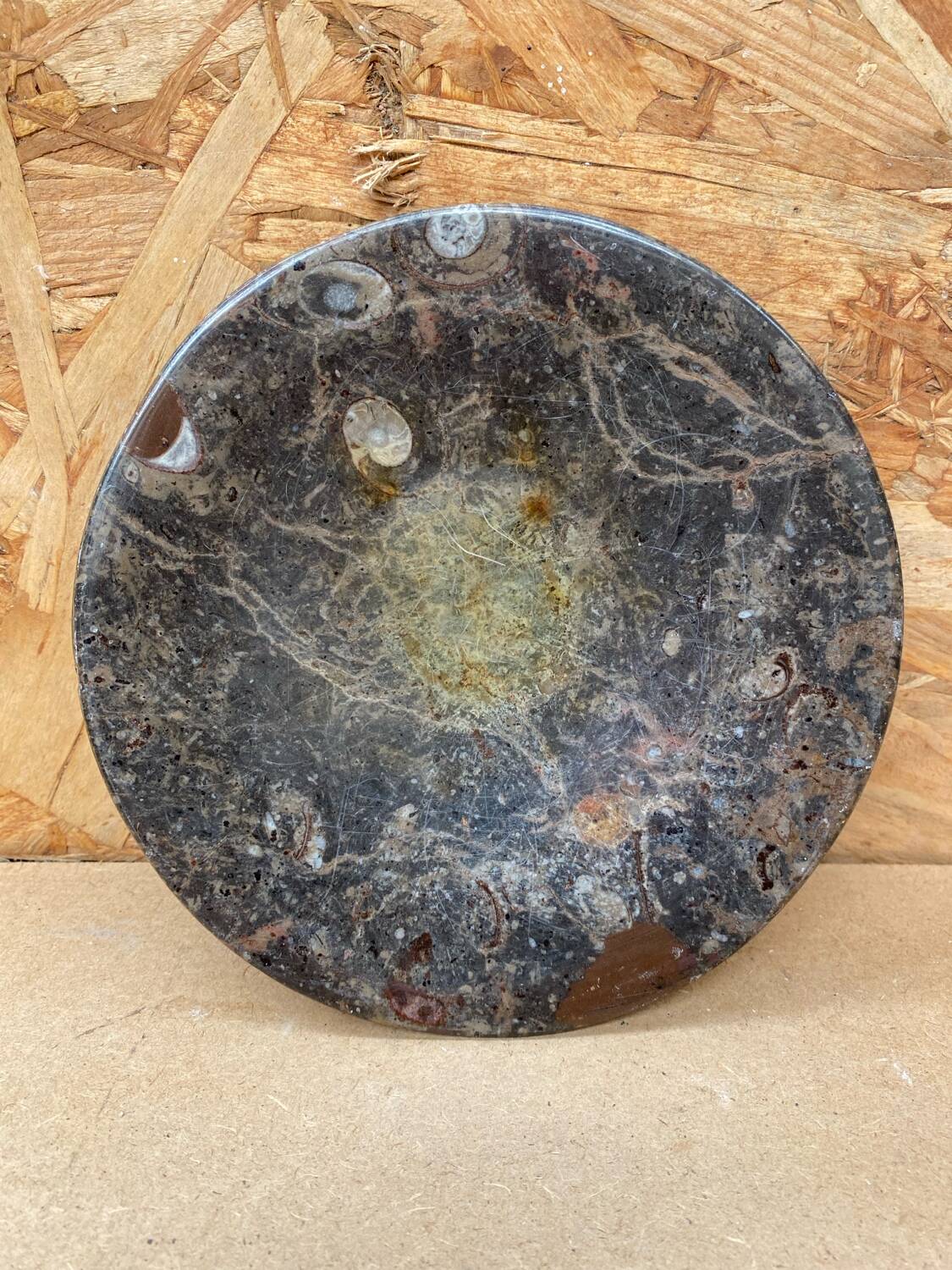 Antique Vintage Fossilized Marble Plate Tray