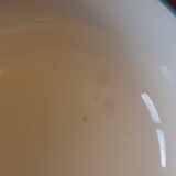 Salad bowl 50s Salins model Jocelyne - flowers