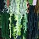 Large tapestry "green wall"