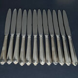 12 silver metal knives