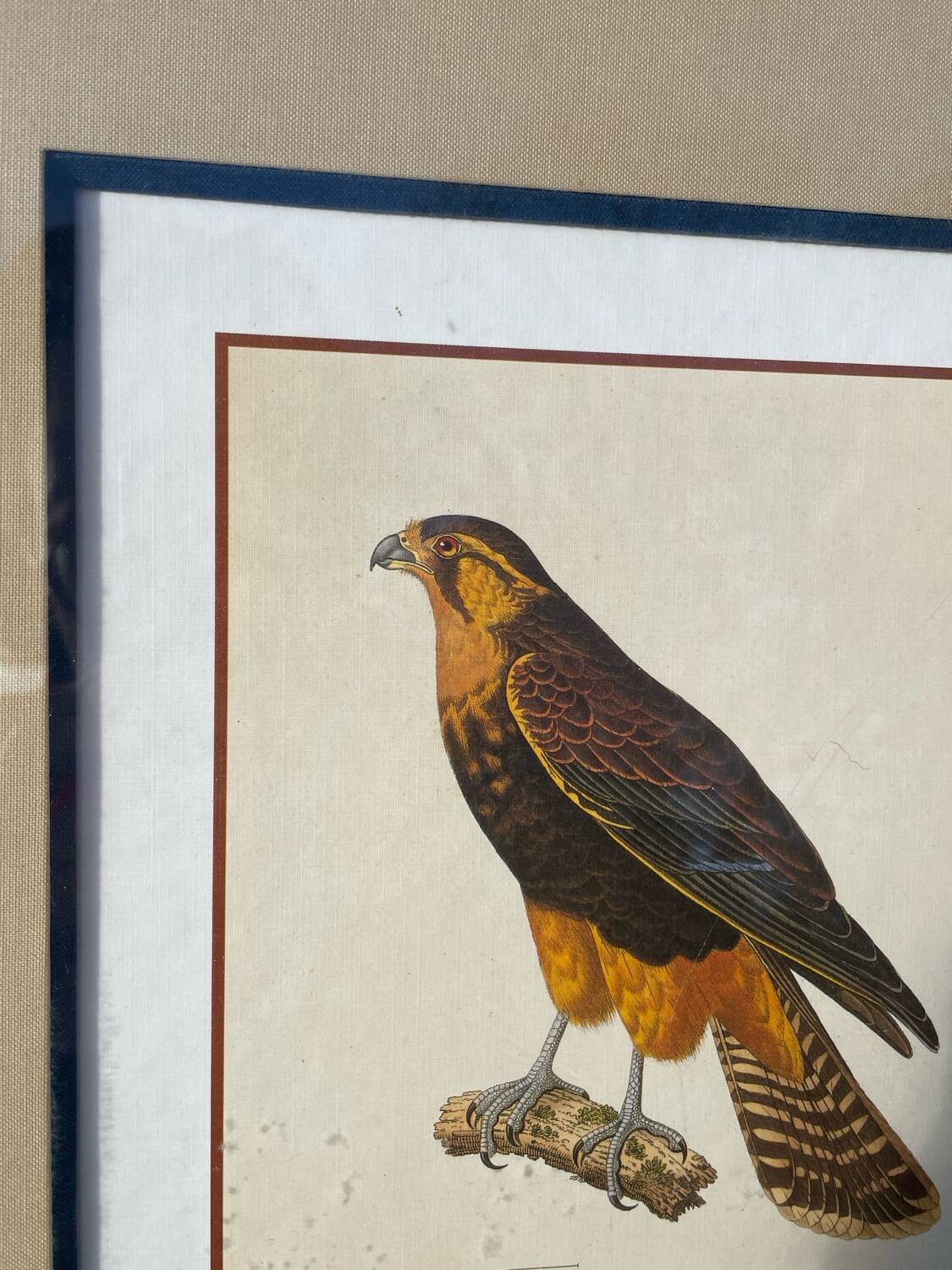 Cadre oiseau bois