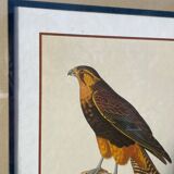 Wooden bird frame