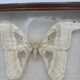Vintage butterfly frame