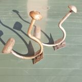 Old iron hooks