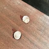 Raw bench