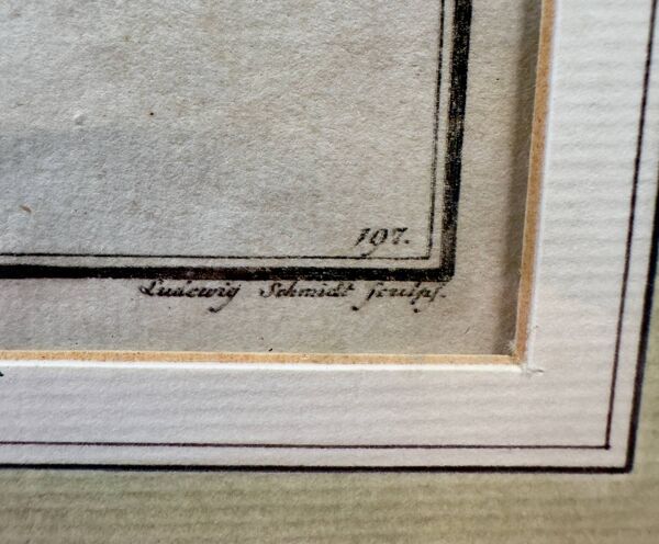 Gravure ancienne de poisson – Ludwig Schmidt (XIXᵉ siècle)