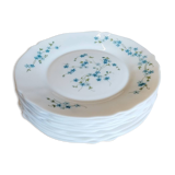Arcopal plates